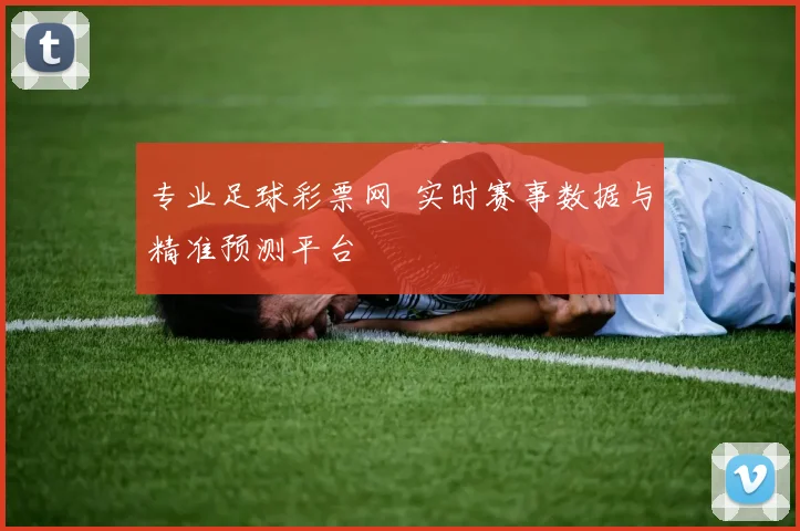 专业足球彩票网 实时赛事数据与精准预测平台