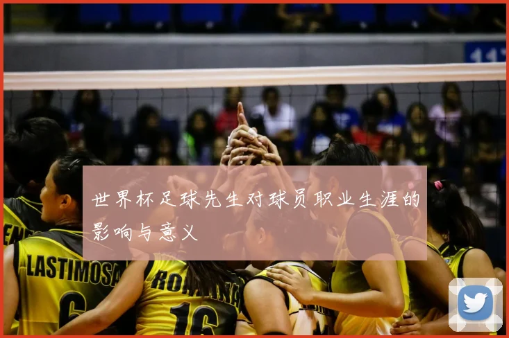 世界杯足球先生对球员职业生涯的影响与意义
